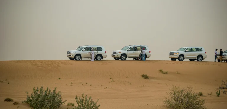 VIP Desert Safari Dubai
